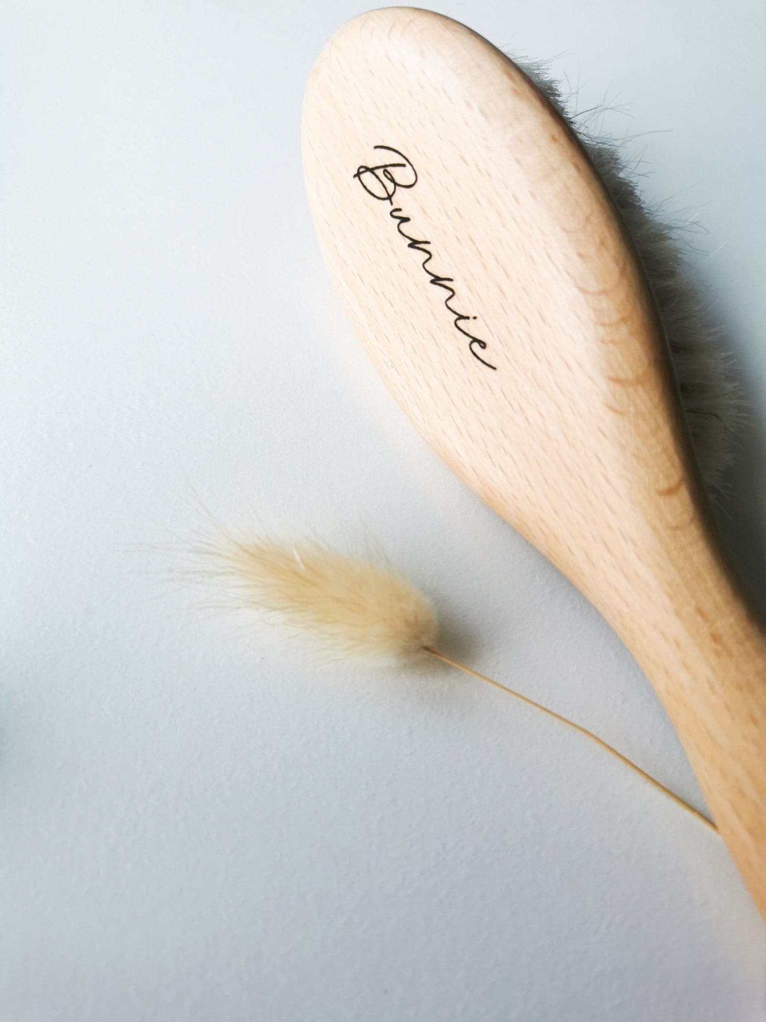 Baby's First Hairbrush - Blossy
